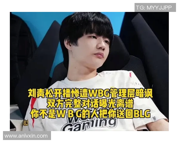 BLG刘青松的职业生涯回顾与未来发展展望分析