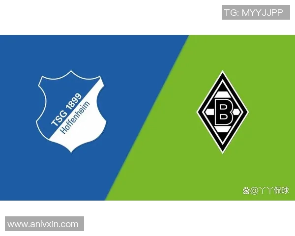 霍芬海姆主场胜门兴保级路越发光明